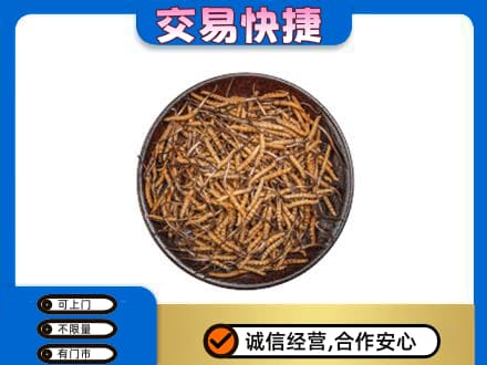 天津北辰区高价回收散虫草